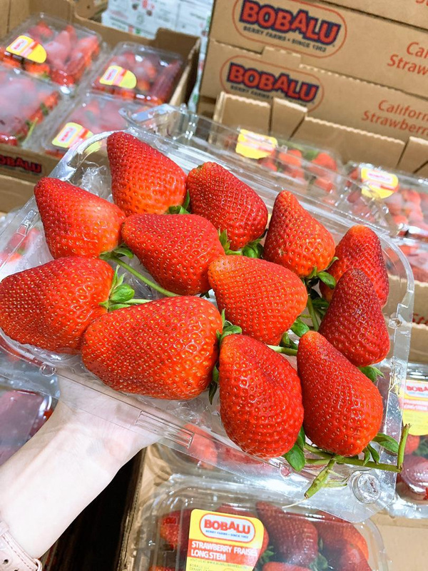GIANT STRAWBERRIES 450gm Desaru Fruit Farm
