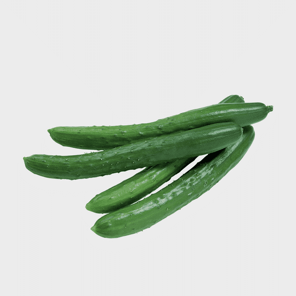 Cucumber Japanese | Timun Jepun日本黄瓜 (1kg) - e-Petani Malaysia
