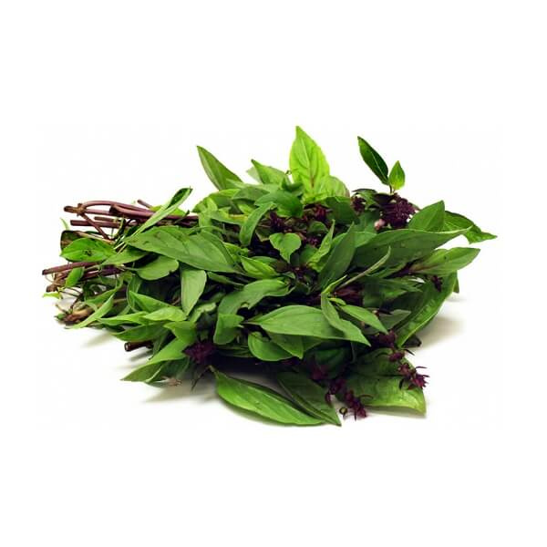 Basil Leaves/Daun Selasih (per Packet) - E-Petani Malaysia