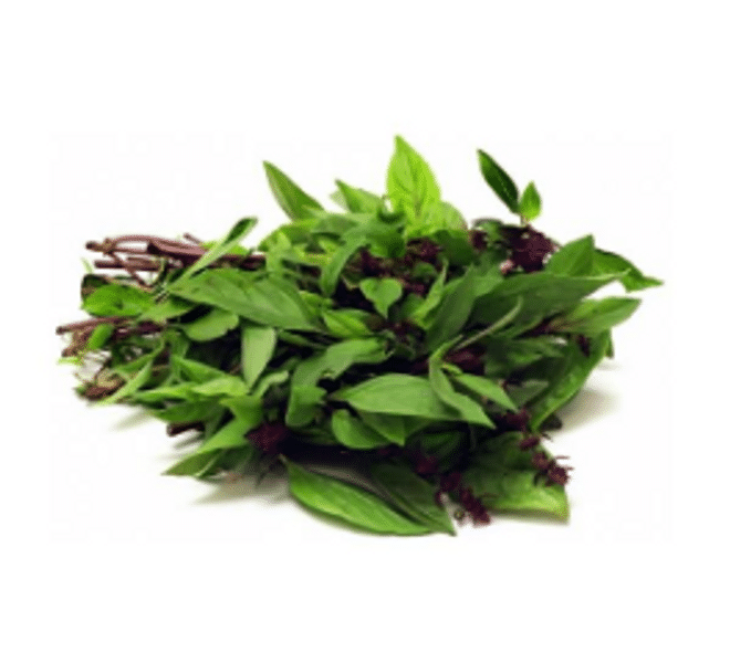 basil leaf in malay