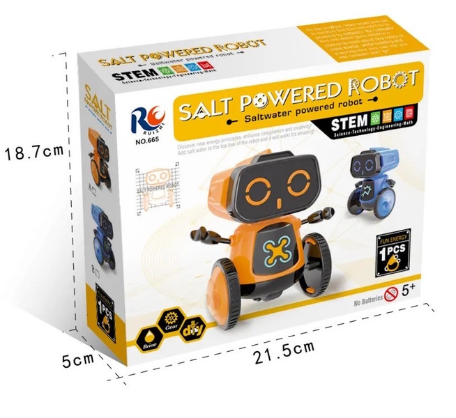 Salt Powered Robot - NSM Science Shop