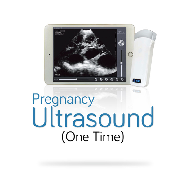 Pregnancy Ultrasound (One Time) - iVET PETCARE