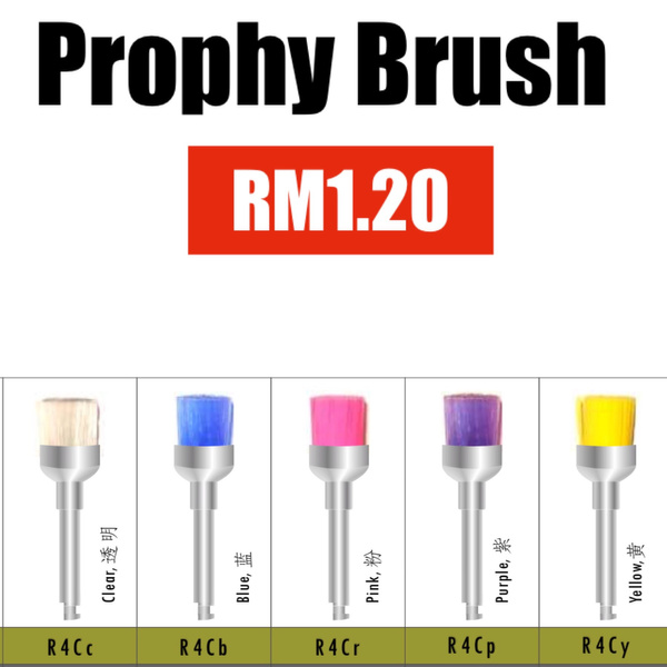 Prophy Brush MSLI Dental Supplies