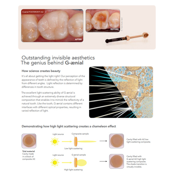 G AENIAL POSTERIOR / Light Cured Composite Restorative MSLI Dental