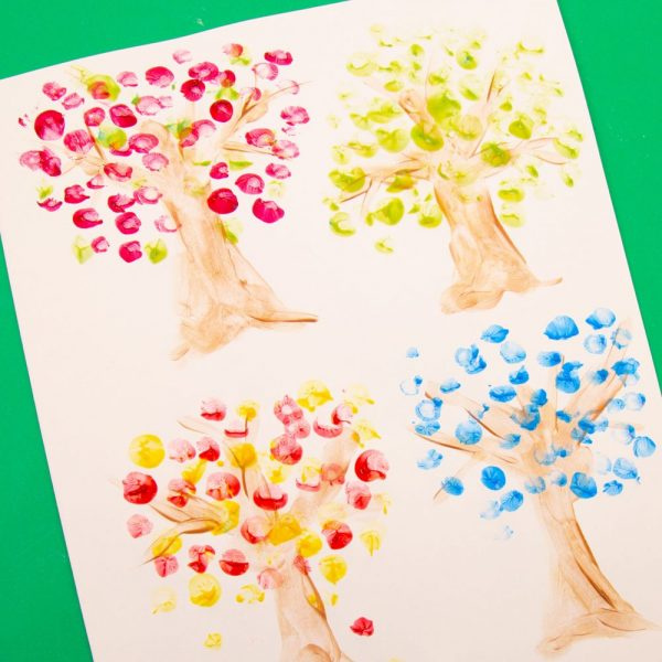 Micador Amazing Ideas Activity Pack - Rooke&Reese