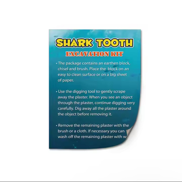 Shark Tooth Excavation Kit - Rooke&Reese