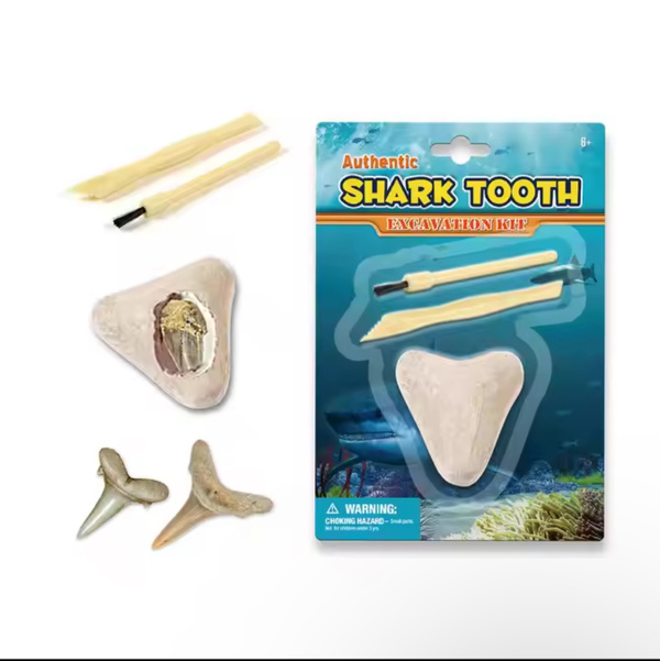 Shark Tooth Excavation Kit - Rooke&Reese
