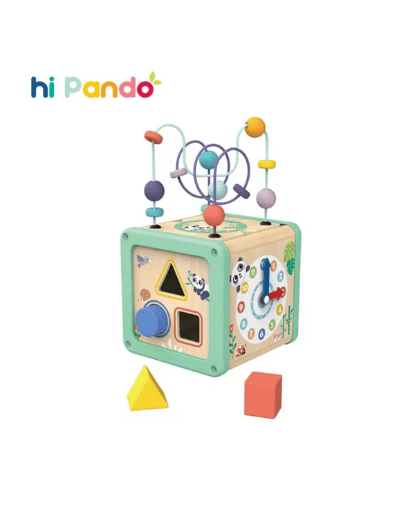 Hi Pando 5 in 1 Play Cube - Rooke&Reese