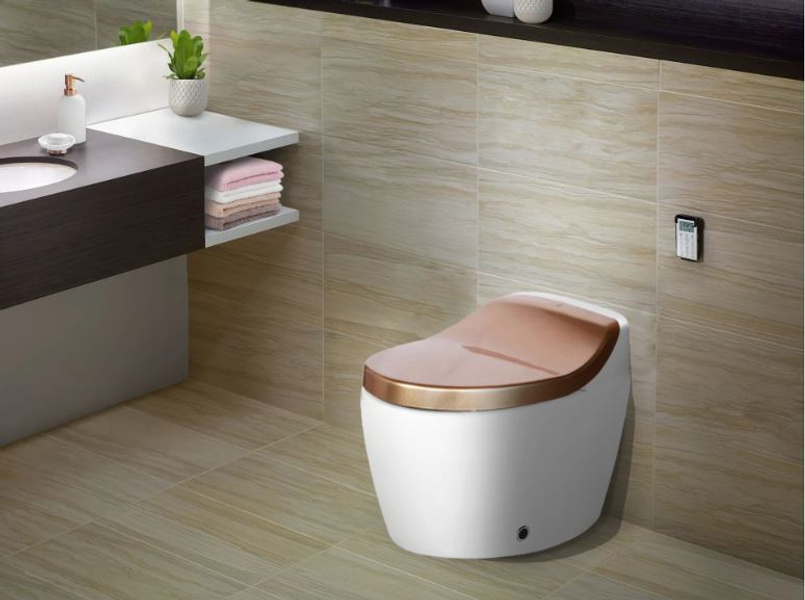 Chase Gold Auto (Smart Toilet) - SSE
