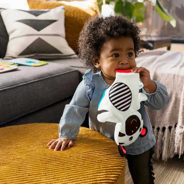Baby Einstein Zen the Zebra Sensory Plush Teether Storked