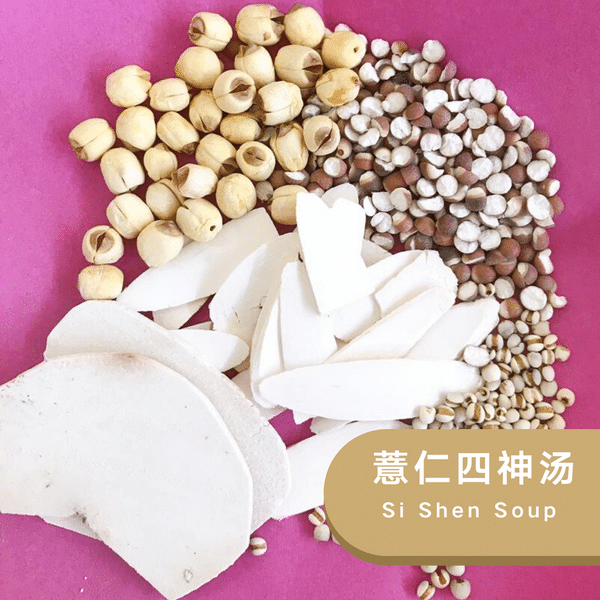 四神养胃汤 Apetite Support Si Shen Soup Tang Herbal