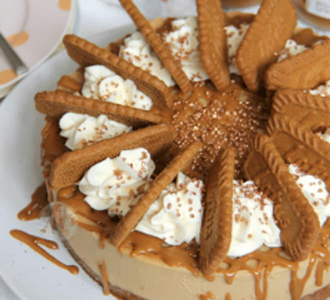 Lotus Cheesecake Wiltlover Café