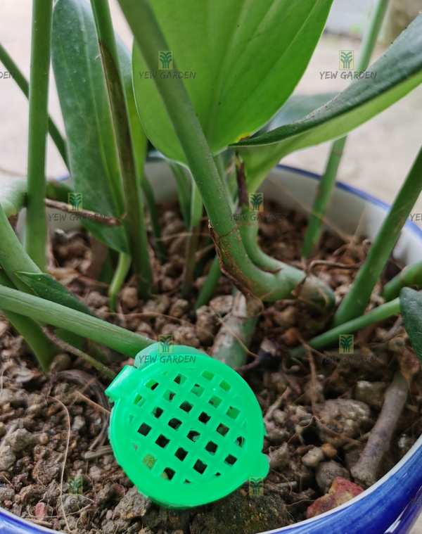 FERTILIZER FUNNEL Yew Garden Nursery